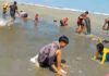 Heboh!! Banyak Ikan Terdampar di Pantai Kungkai Baru Seluma